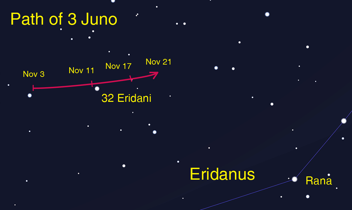 This finder chart shows the path of the asteroid 3 Juno as it glides past 32 Eridani in November 2018. The asteroid's position is highlighted for selected dates, including its opposition on the 17th. Image created in Stellarium for NASA Night Sky Network.