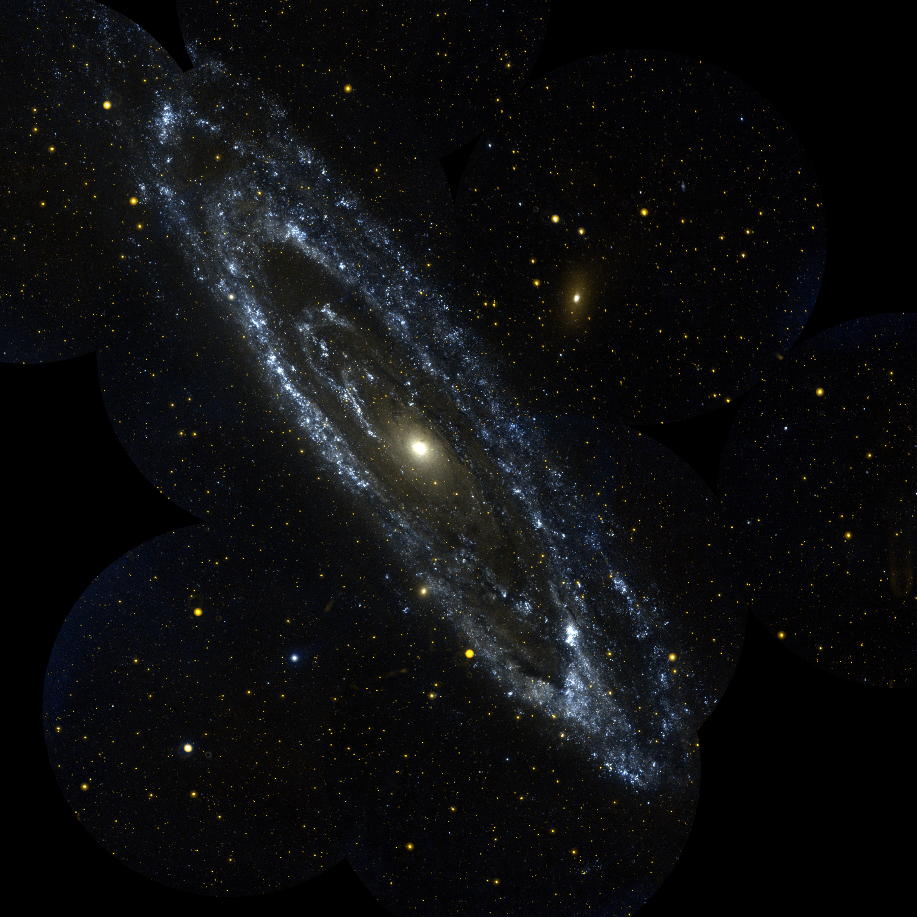 The GALEX telescope took this UV image of the Andromeda galaxy (M31), revealing a surprising shape not apparent in visible light.