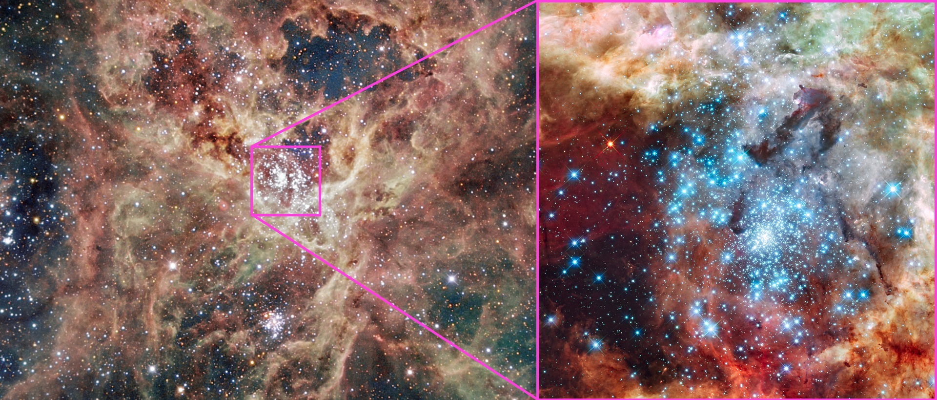 The giant star-forming Tarantula Nebula in the Large Magellanic Cloud and the central merging star cluster NGC 2070, containing the enormous R136a1 at the center.